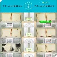 プラチナ触媒を利用した野菜・果物の鮮度維持グッズ『FT-eco Ball（エフテコボール）』1個｜茨城県土浦発！FT-ecoR触媒（エフテコ触媒）を活用した、野菜・果物の鮮度を守るアイテム。野菜・果物の鮮度維持、防臭効果が期待。取換期間も1年間と長持ち※離島への配送不可