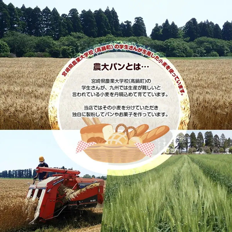 ベーグル 詰め合わせ 食べ比べ パン 7種×24個 