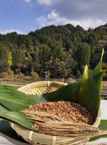 山々と源流の山国町「nakano麦園」の希少な『紫もち麦』ダイシモチ300g×3袋 | 900g 900グラム 紫もち麦 もち麦 麦 ダイシモチ 紫麦 雑穀 穀物 希少 国産 麦ご飯 大分県 中津市