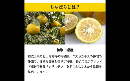 柑橘じゃばらぽん酢　3本セット【入金確定日より、２週間程度で配送】【AV011-fion011】