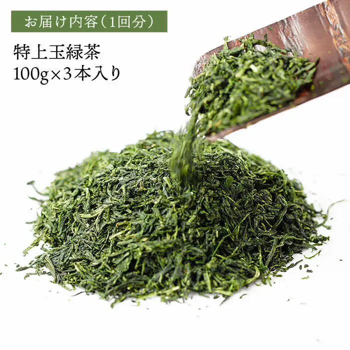 【全12回定期便】特上 玉緑茶 詰め合わせ セット【マックリカフェ】[LC25] 