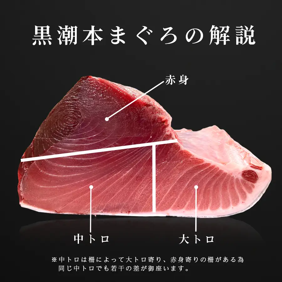 マグロ まぐろ 本マグロ 刺身 赤身 中トロ 大トロ ぶつ切り 4種 900g 養殖 本まぐろ さしみ 刺し身 ネギトロ ねぎとろ 漬け丼 海鮮丼 まぐろたたき 海鮮セット 柵 年末 年始 正月 高知県 大月町