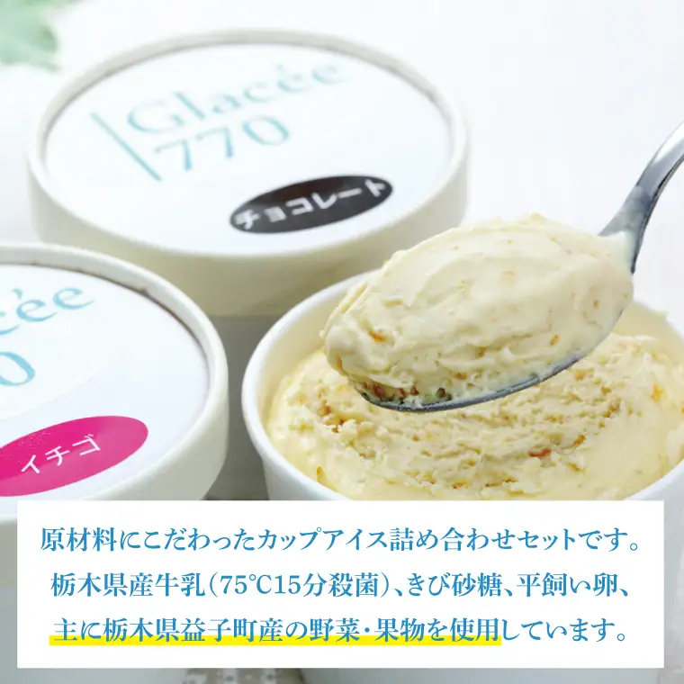益子町 無添加アイスクリーム 10個 AB001
