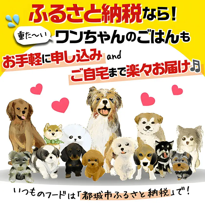 わんちゃんのおやつ★ごほうび10袋セット〔AA-G703〕_(都城市) 国産 犬用おやつ ごほうび 10袋セット 細切りソフト うす切りソフト ふりかけササミ＆チーズ  超やわらか巻きガムミニ ふわふわ削り節 ソフトカット 細切り チーズスティックささみ包み ささみ犬好棒ミニ