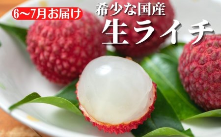 岡宗農園のフルーツ定期便【年3回発送】小夏・マンゴー・ライチ