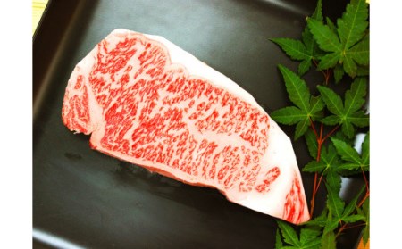 【3ヶ月連続定期便】 博多和牛 食べ比べ セット ロース カルビ モモ 焼肉 ステーキ 和牛 牛 肉 定期