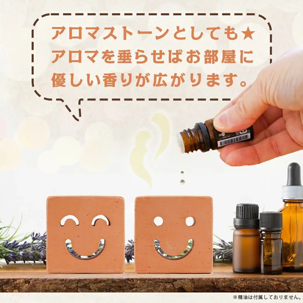 ニコニコレンガ(1箱2個入)〔LD-K301〕_(都城市) 都城産レンガ ニコニコレンガ ガーデニング アロマストーン