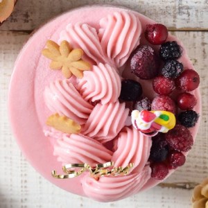 ＜栃木県＞Xmasジェラートケーキ(クリスマスアイスケーキ)※2026年12月～発送