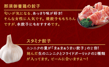 【定期便12回】宇都宮餃子 運気アップ餃子 スタミナ餃子（18個×12回　合計216個）【配送不可地域：離島】