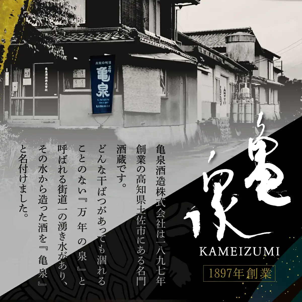 日本酒 純米吟醸 無濾過生原酒 1800ml（生酒） 高知県土佐市 【株式会社とさもん】 [BQAE058]