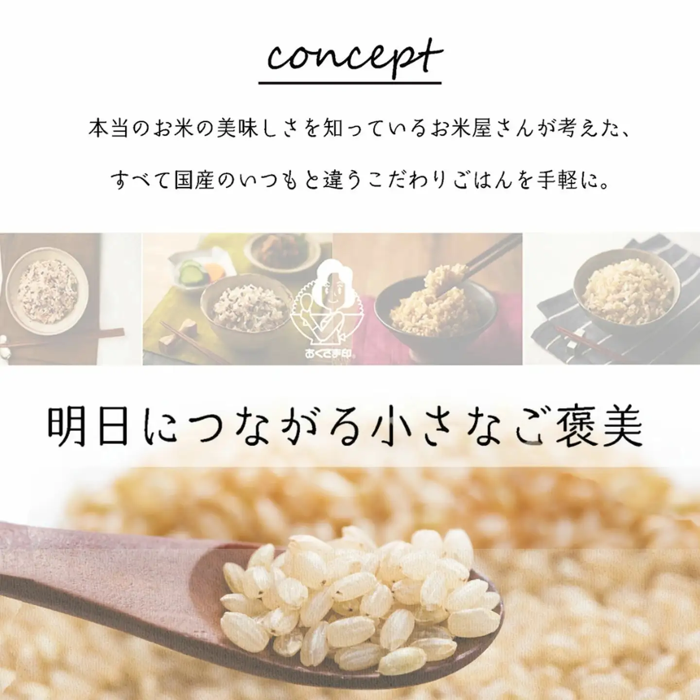 【パックご飯】 玄米 国産こしひかり 一分づき 120g 計24個 パックご飯