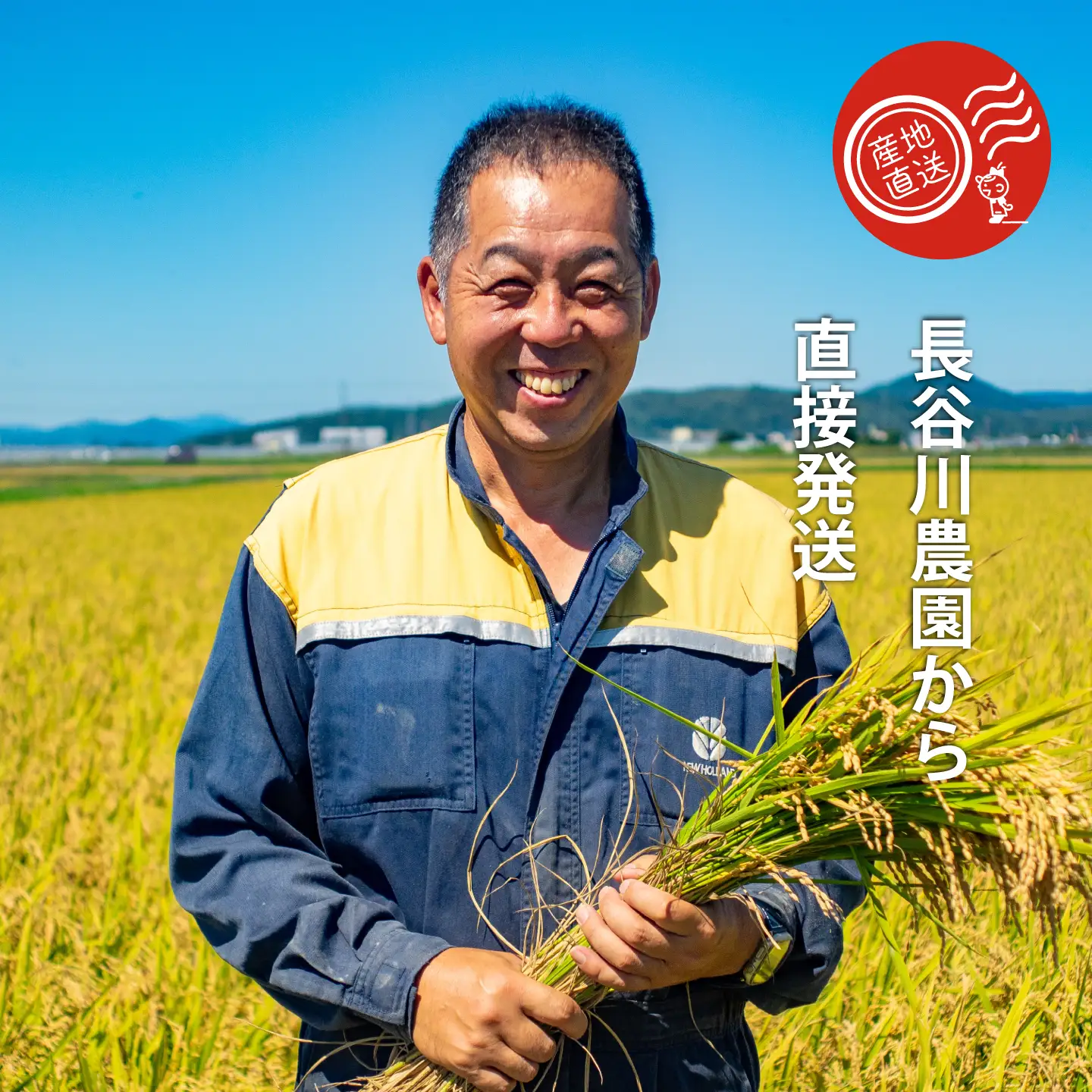 【令和6年産】ゆきさやか 10kg×3回コース〈定期便〉精米 北海道当麻町 長谷川農園【U-009】