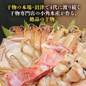 珍味 イカトンビ 一夜干し と沼津加工干物詰め合わせセット 干物セット お中元 お歳暮 母の日 父の日 のし対応