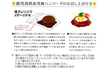 AS-110 鹿児島県産 黒豚 煮込み チーズインハンバーグ 180g×4個