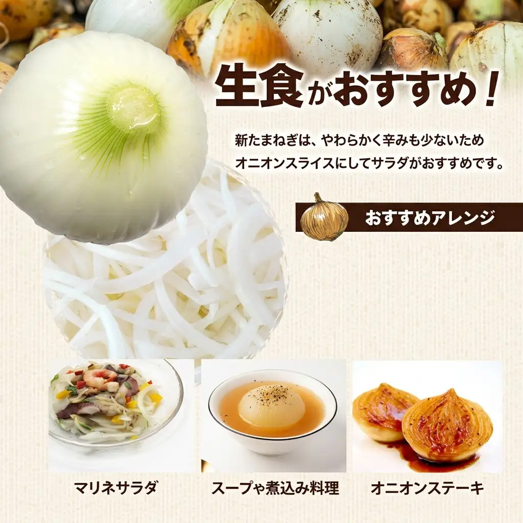 新玉ねぎ 香川県産 令和8年産 新玉ねぎ【約10kg 3L〜M】 【46311147】