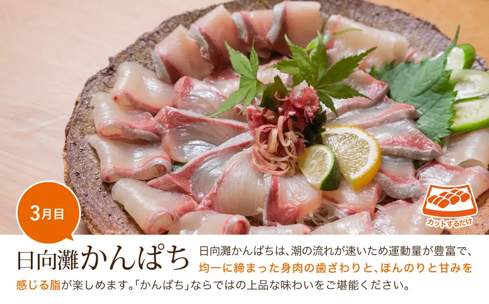 【北海道・離島配送不可】＜定期便・全3回(連続)＞旬の鮮魚(3ヶ月コース)お刺身   海鮮  真空パック 【UZ-01】【請関水産】