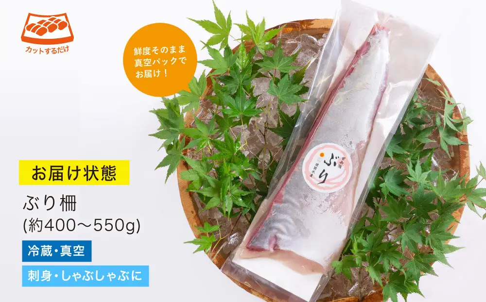 【北海道・離島配送不可】日向灘ぶりのお刺身(約400～550g)魚 海鮮 冷蔵【UZ-03】【請関水産】