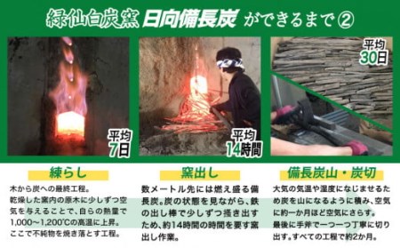 備長炭 緑仙白炭窯 日向備長炭 バーベキュー 用 2.5kg
