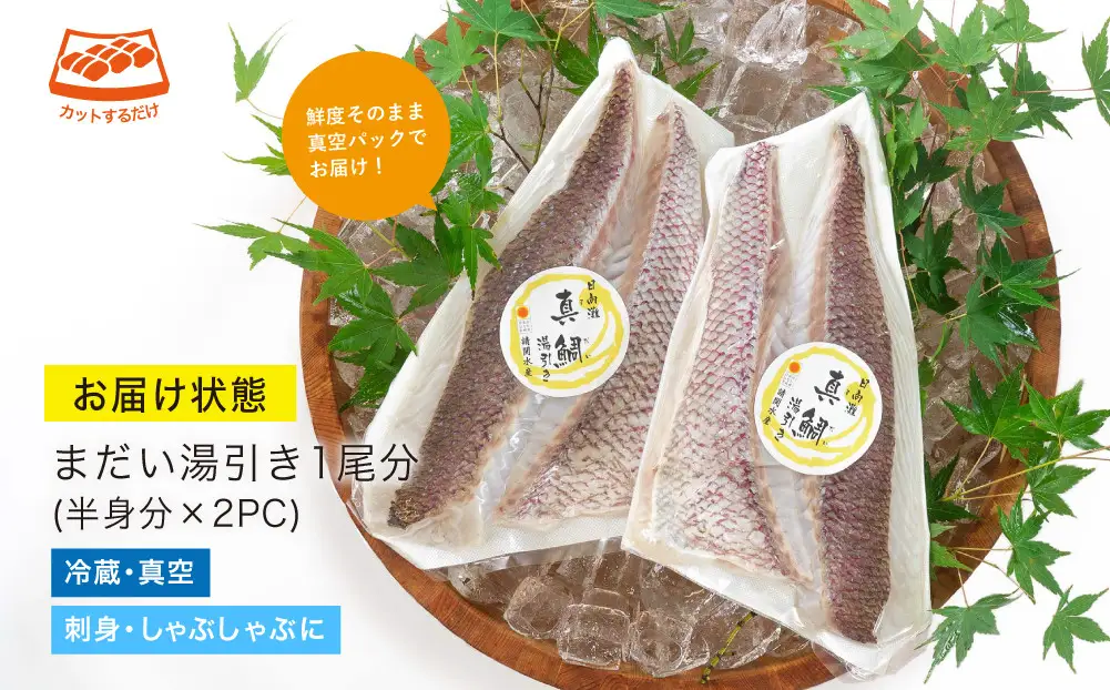 【北海道・離島配送不可】新鮮！お手軽！真鯛湯引きのお刺身(1尾分：約500～600g)お刺し身 しゃぶしゃぶ 魚介 海鮮 まだい マダイ 真空パック【UZ-06】【請関水産】