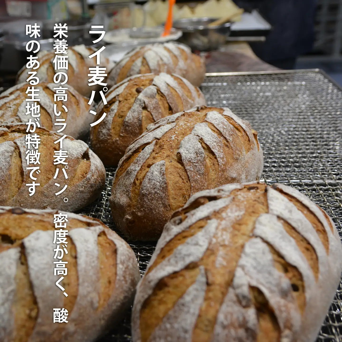 冷凍パンセット 森のパンやさん 凜香「酵母パン」６個セット ライ麦パン 酵母パン 主食 朝食 おやつ はちみつりんご ぶどう 金時豆 焼き芋 お取り寄せ グルメ【E-001】