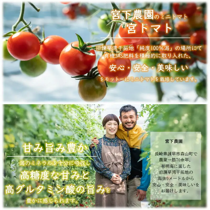 ワイン酵母仕込み茜鶴ミニトマトのお酒甘口200mlと宮トマト500gのセット / 酒 お酒 アルコール 甘口 ミニトマト トマト / 諫早市 / 株式会社宮下農園  [AHCG002]
