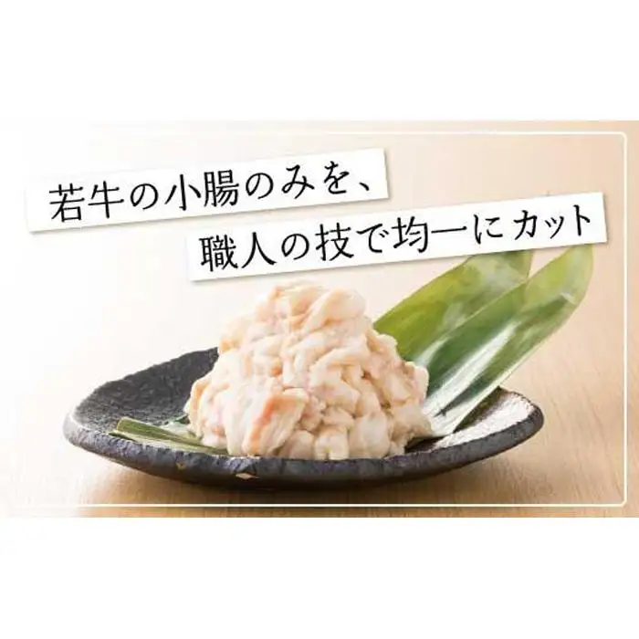 【定期便4ヶ月】福岡売上No1 博多もつ鍋おおやま もつ鍋みそ・しょうゆ (2人前)各2回お届け