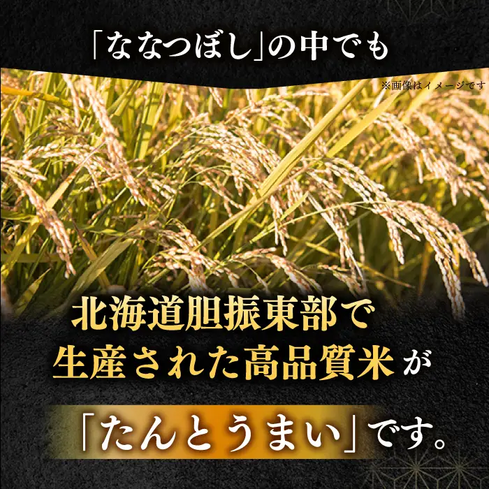 令和7年産 令和8年産 【全6回定期便】ななつぼし [たんとう米] 10kg 米 定期便 6ヵ月 半年 毎月 お米 白米 ご飯 ななつぼし 北海道 [AXAB021]