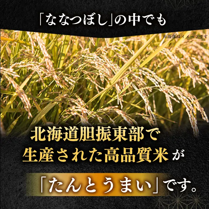 令和7年産 令和8年産 【全12回定期便】ななつぼし [たんとう米] 10kg 米 定期便 1年 12ヵ月 お米 白米 ご飯 ななつぼし 北海道 [AXAB022]