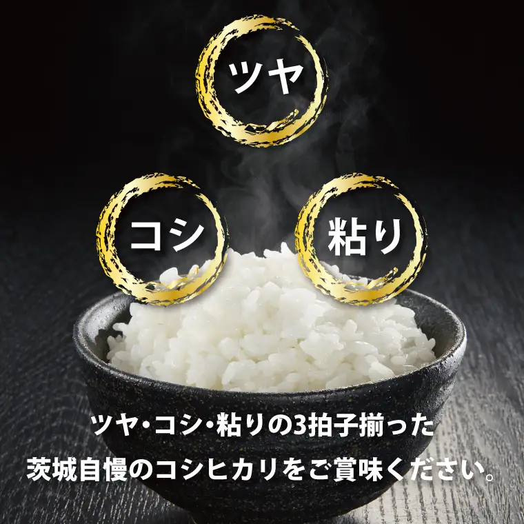 令和7年産 茨城 コシヒカリ 10kg (5㎏×２袋) 米 精米 茨城県産_CU001