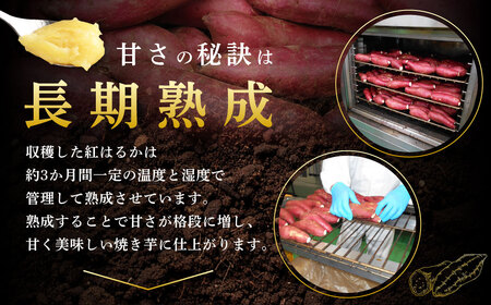 【10営業日以内発送】 紅はるか 冷凍焼き芋 1.2kg (300g×4袋) 鹿児島 冷凍 焼き芋 芋 いも ZSR-701