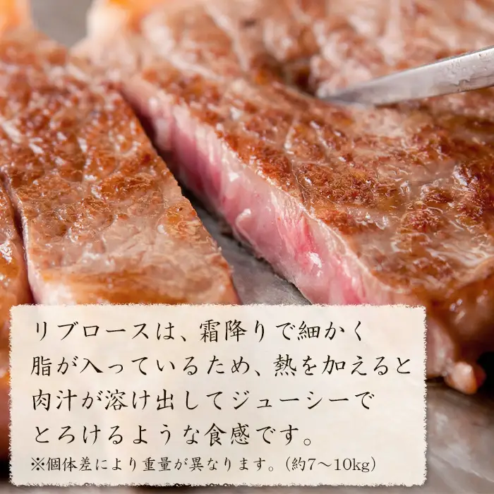 淡路牛 リブロース 原木丸々1本 約7kg～10kg　　[ブロック 牛肉 冷凍]