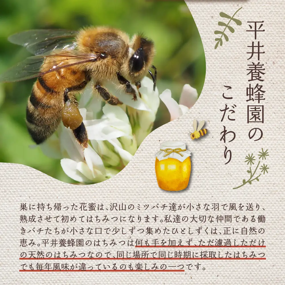 国産純粋はちみつ「天使のしずく」 300gと蜜蝋キャンドル 贈答用箱入り 天然成分 百花はちみつ アレンジ 癒し インテリア 広島県 呉市 ku046-001-r