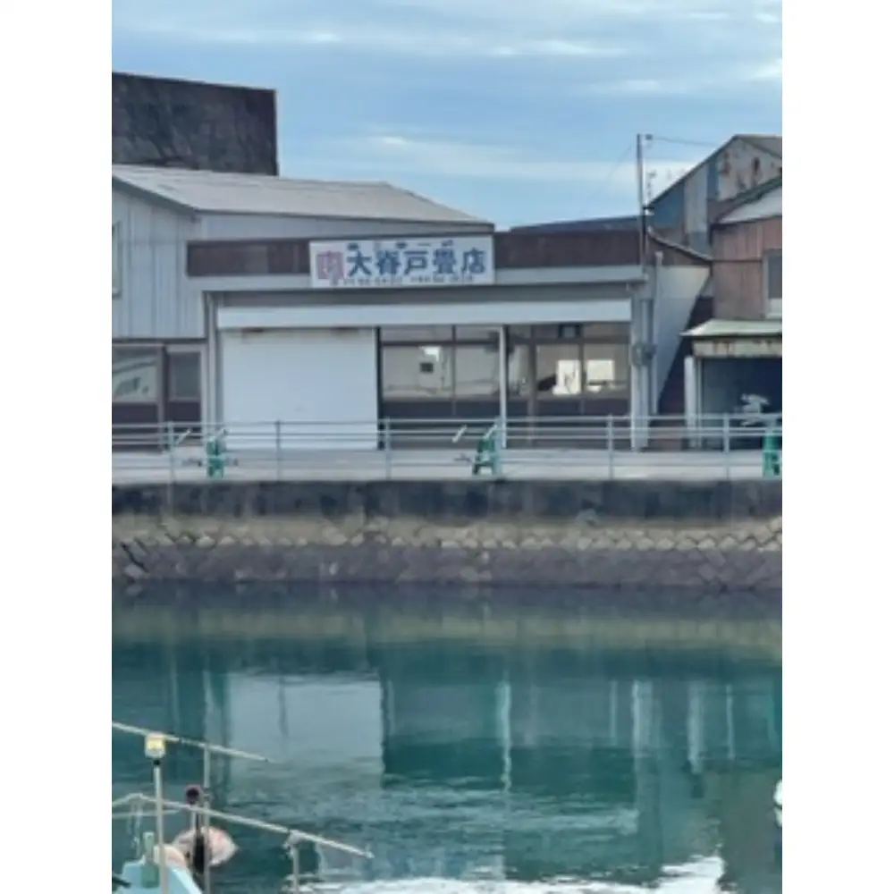 風水畳細工龍の置物 八角形 B インテリア 畳 送料無料 広島県 呉市 ku119-002-r