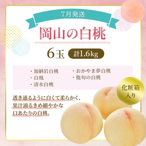 桃 定期便 2026年 先行予約 岡山 の 桃 食べ比べ 3回コース 岡山県産 桃