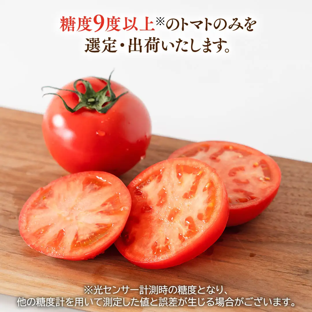 《 2027年 収穫分 》2～6月配送 スーパーフルーツトマト てるて姫 小箱 約800g × 1箱 【7～13玉/1箱】 糖度9度以上 先行予約 フルーツトマト ブランドトマト 野菜 ギフト 贈答 青空レストラン アド街ック天国 グッドモーニング 黄金のワンスプーン 昼めし旅 [BC065sa]