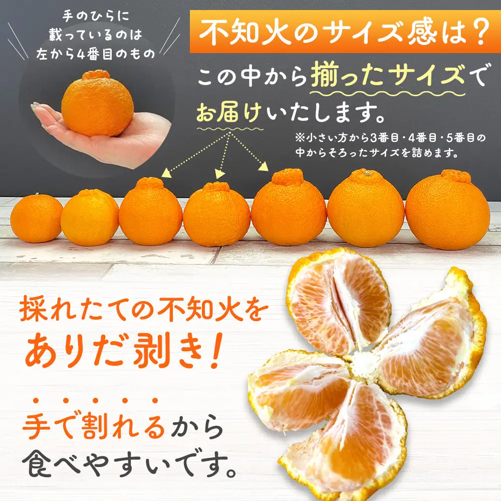 不知火 (しらぬい) 秀品 玉ぞろい 箱込 2.5kg (内容量約2.3kg)  和歌山県産 産地直送［みかんの会］