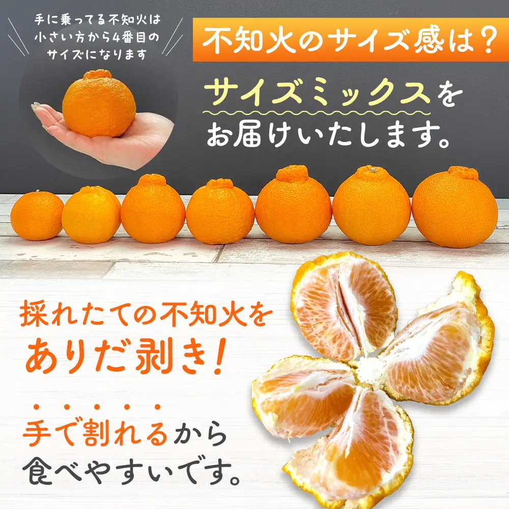 不知火 訳あり それでも 有田の不知火 箱込 7.5kg(内容量約 6.8kg) サイズミックス 和歌山県産 産地直送［みかんの会］