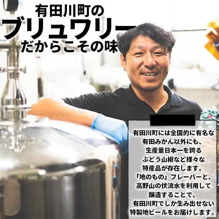 ブルーウッドブリュワリー定番と季節のおすすめセット（計6本）【3か月定期便】