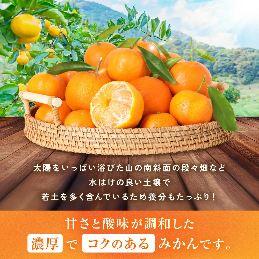 ［秀品]有田のブランド「賢みかん」10kg(Sサイズ)［2026年11月中旬頃より順次発送］