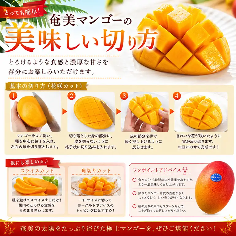 【2026年 観光雑誌付き】奄美産マンゴー 秀品・美玉2kg とろける甘さの黄金果肉 樹上完熟 A052-020