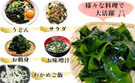 岬だより 調理不要 食感抜群の生わかめ　200g×10袋 [配送不可地域：離島]