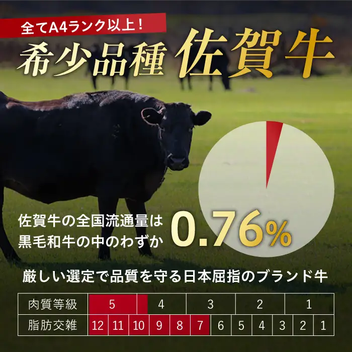 黒毛和牛 佐賀牛 切り落とし 肩orバラ 500g きりおとし[FDB006]