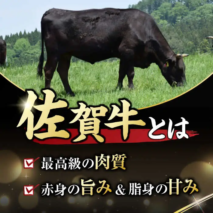 ヒレステーキ 450g 佐賀牛 ヒレステーキ[FDB013]