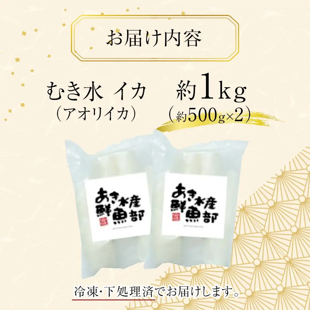 アオリイカ 約1kg 下処理済 冷凍 小分け イカ