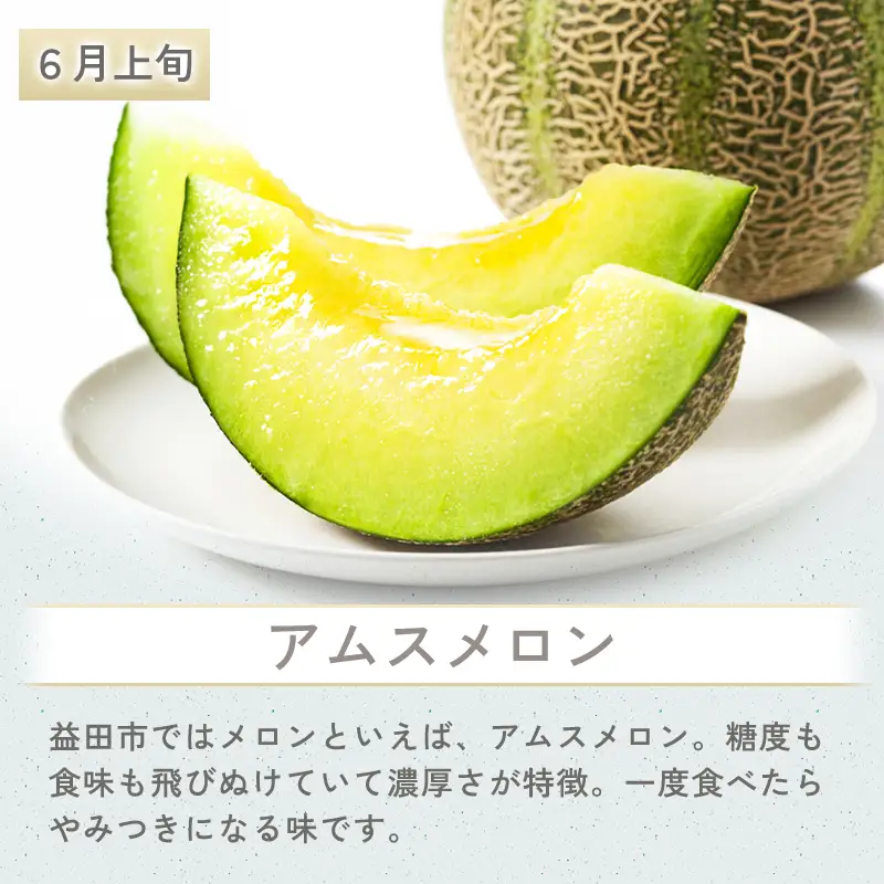 D-973 益田市特産フルーツギフト4種【四季】