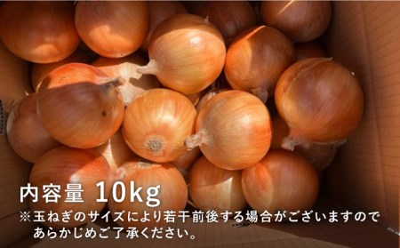 白石玉ねぎ 10kg / 玉ねぎ [IAW009]