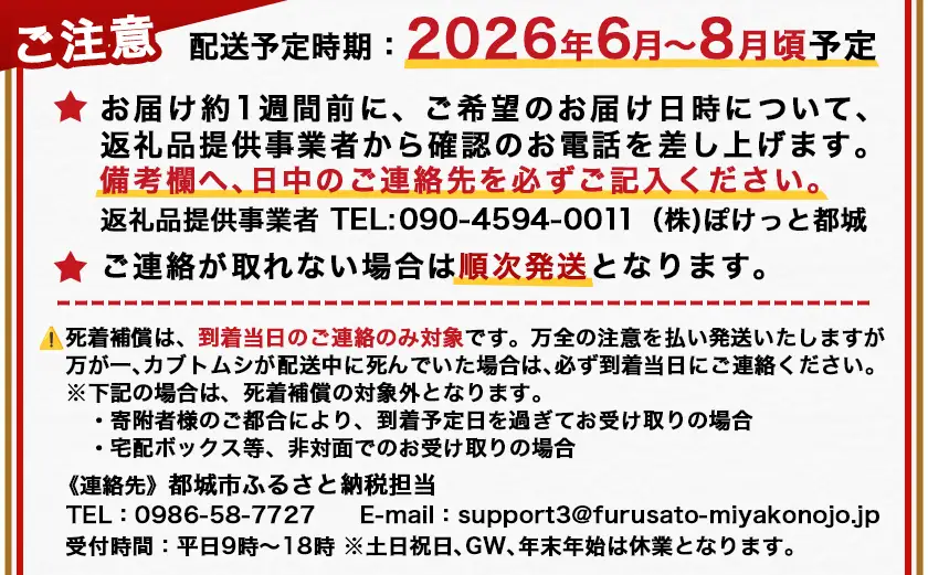 【先行受付☆2027年6月以降お届け】カブトムシ(飼育セット付き) ※限定100セット※〔LG-3311-2027〕_(都城市) 