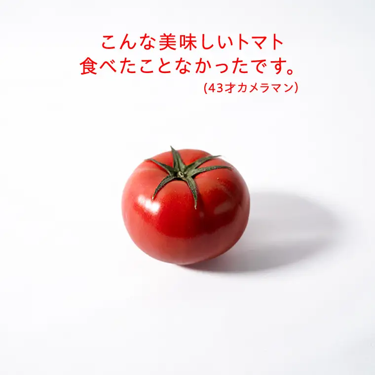 《 2027年 収穫分 》2～6月配送 スーパーフルーツトマト 小箱 約800g × 1箱  (7～13玉/1箱) 糖度9度以上 先行予約 茨城県 桜川市 KEK 国産 トマト フルーツトマト ブランドトマト 野菜 ギフト 贈答 青空レストラン アド街ック天国 グッドモーニング 黄金のワンスプーン 昼めし旅 [BC068sa]
