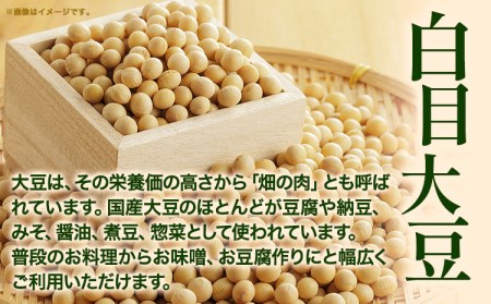 令和7年度産 北海道十勝 本別町産 白目大豆5kg《60日以内に出荷予定(土日祝除く)》本別町農業協同組合 送料無料 北海道 本別町 st-p