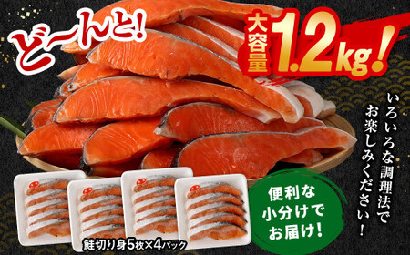 【4ヶ月定期便】鮭 切り身 20枚 ( 約1.2kg×4回 ) 計約 4.8kg サーモン